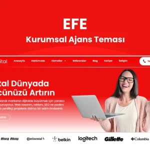 WordPress SEO, Ajans Teması WordPress tema görseli - HanTema