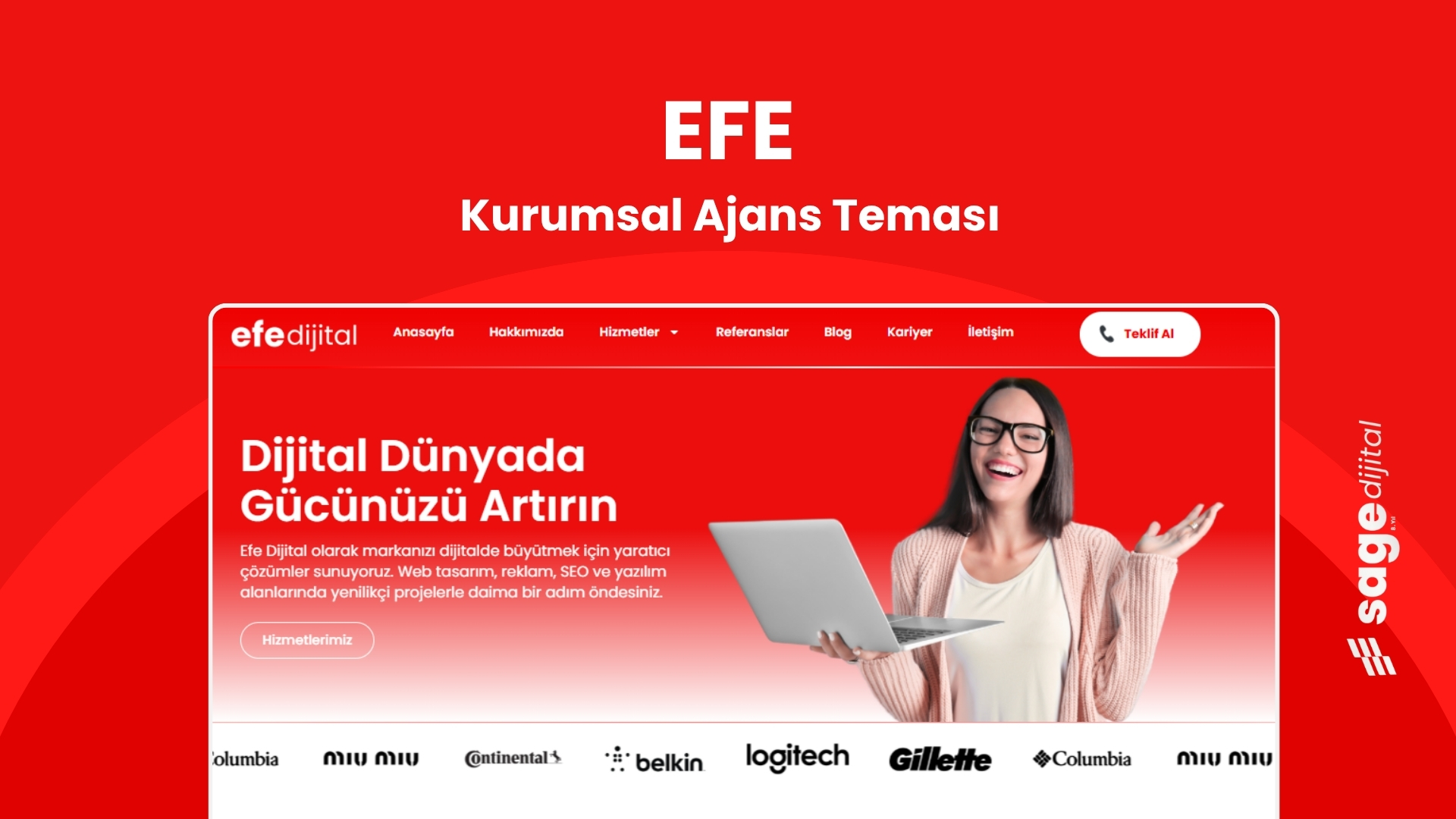 WordPress SEO, Ajans Teması